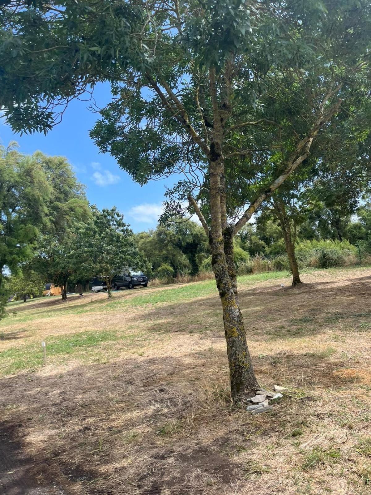 Camping Animal King Esnandes Exterior foto